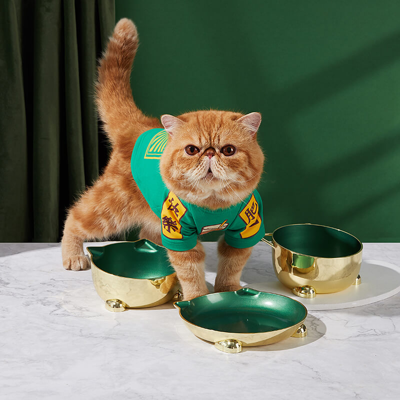 Moat Pet Golden Bowl - emerald